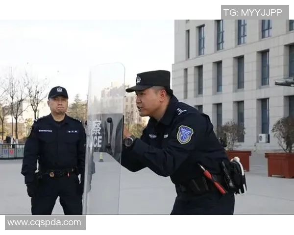 西安排球队战术解析：钻石联赛中的表现与策略探讨