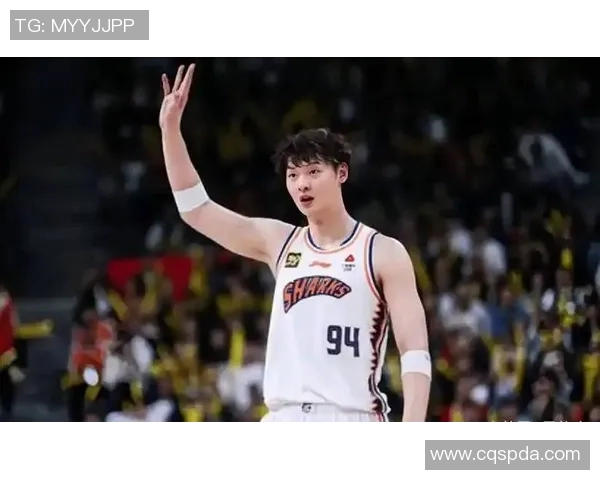 王哲林在CBA赛场的崛起与挑战解析他的职业生涯与未来发展方向 王哲林在CBA赛场的崛起与挑战解析他的职业生涯与未来发展方向