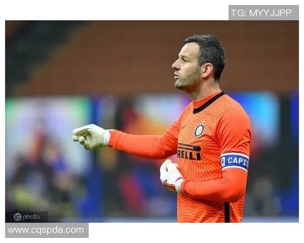 埃尔维斯与汉卡的巅峰对决谁能赢得最终胜利