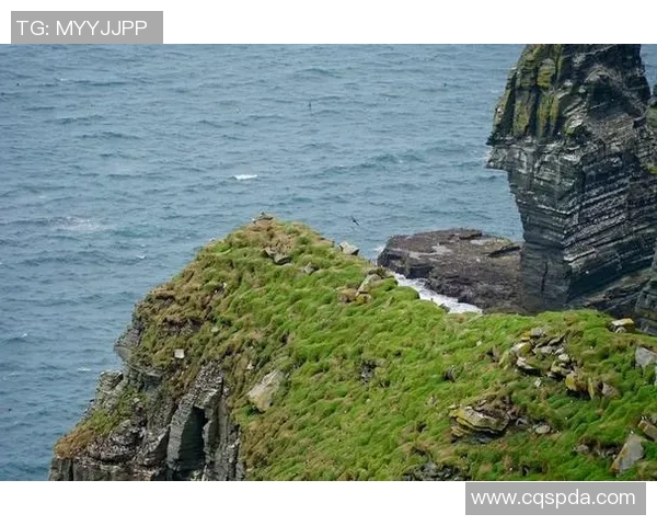 梅明根与慕尼黑的激烈对决揭示足球魅力与城市文化的碰撞