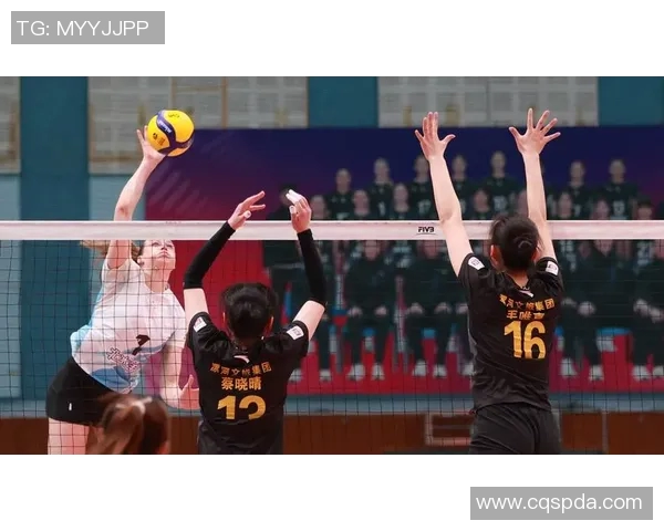 排球节奏排行榜揭晓北京排球队荣获第五名佳绩